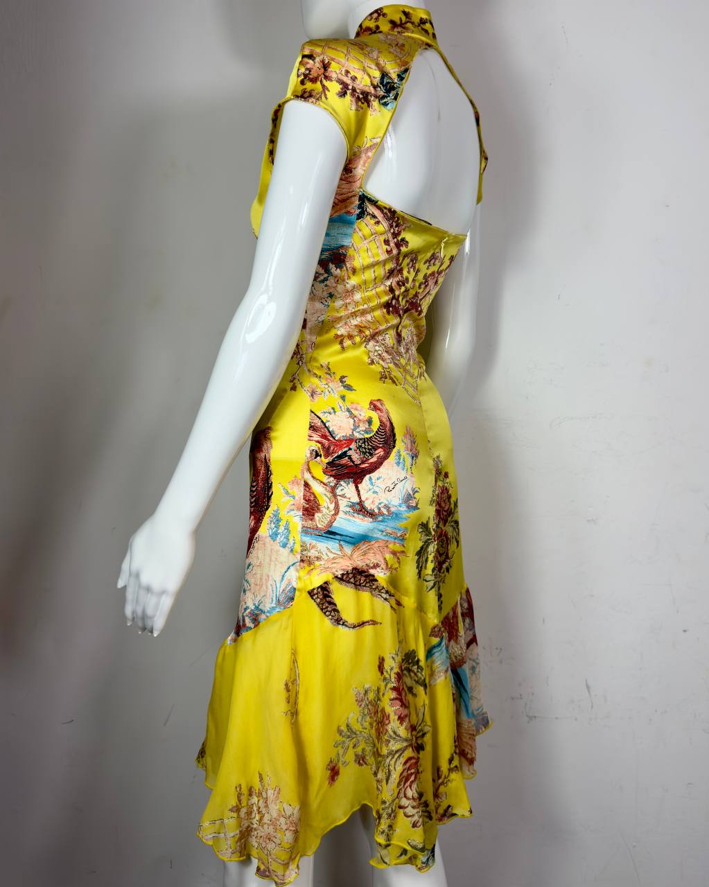 Roberto Cavalli S/S2003 Iconic Chinoiserie Silk Dress