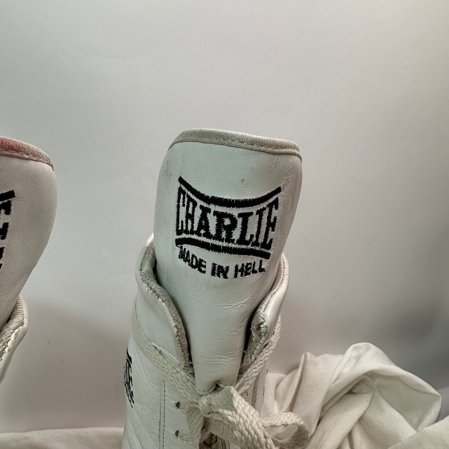 RARE Everlast Charlie in Hell Vintage Boxing Boots