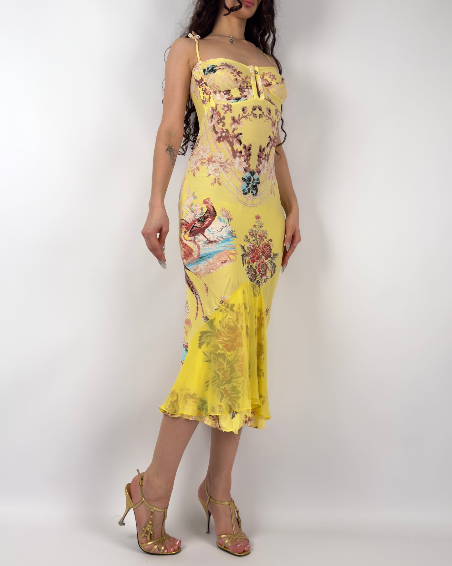 Roberto Cavalli S/S 2003 Chinoiserie Long Corset Dress