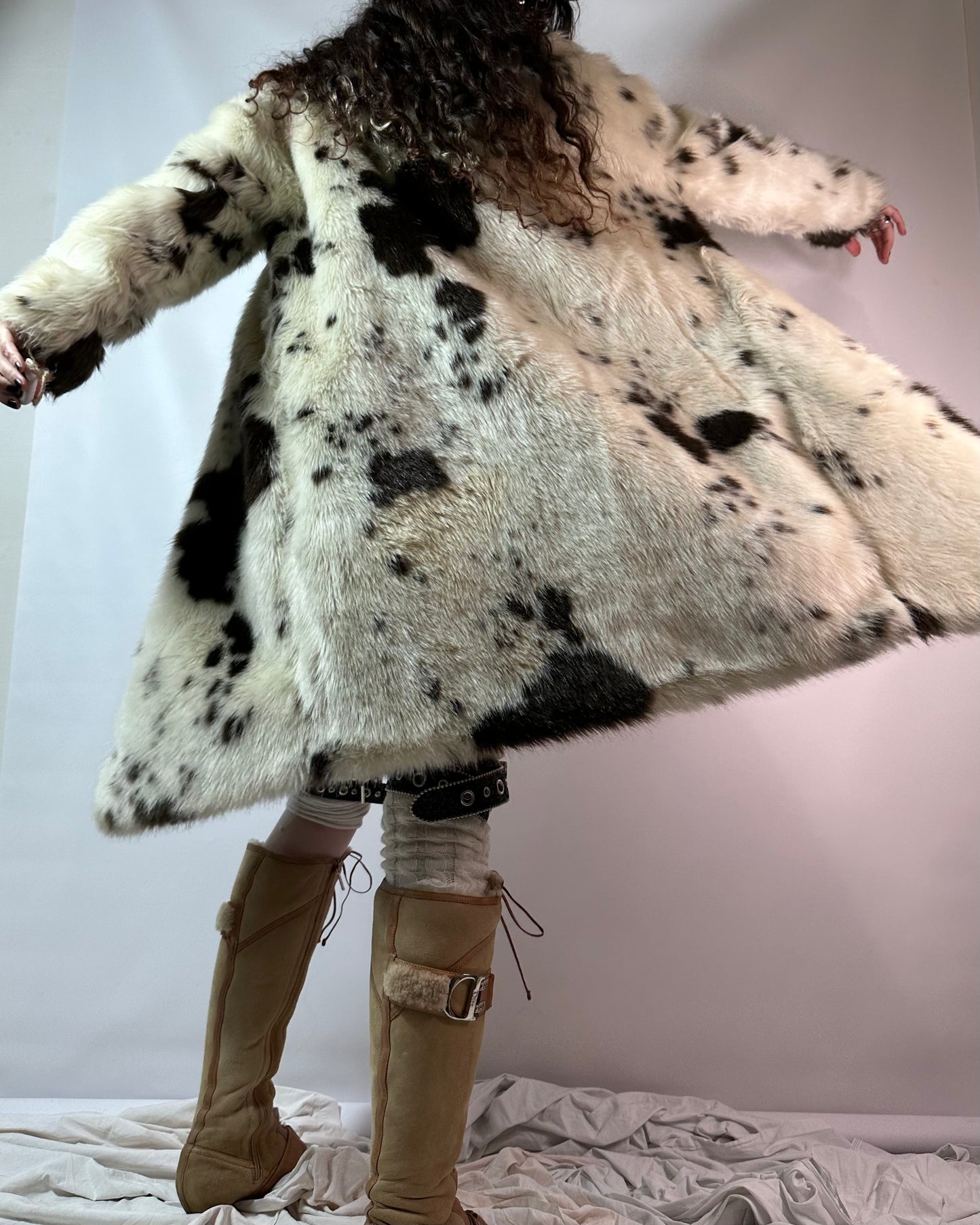 Dalmatian Coat