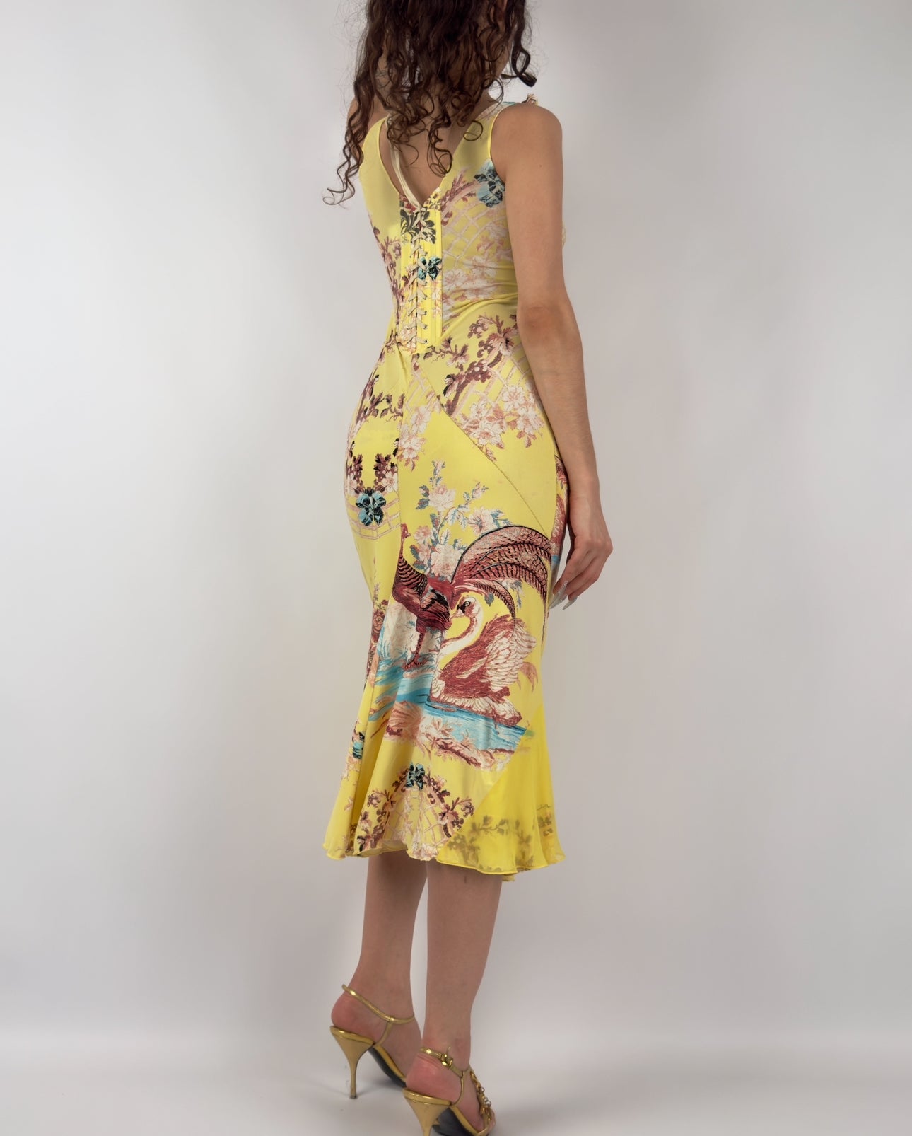 Roberto Cavalli S/S 2003 Chinoiserie Long Corset Dress