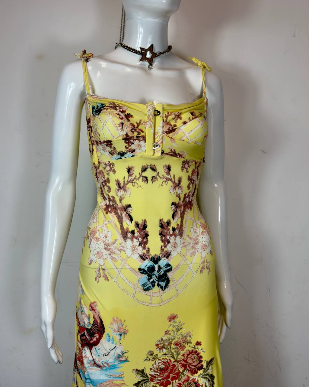 Roberto Cavalli S/S 2003 Chinoiserie Long Corset Dress