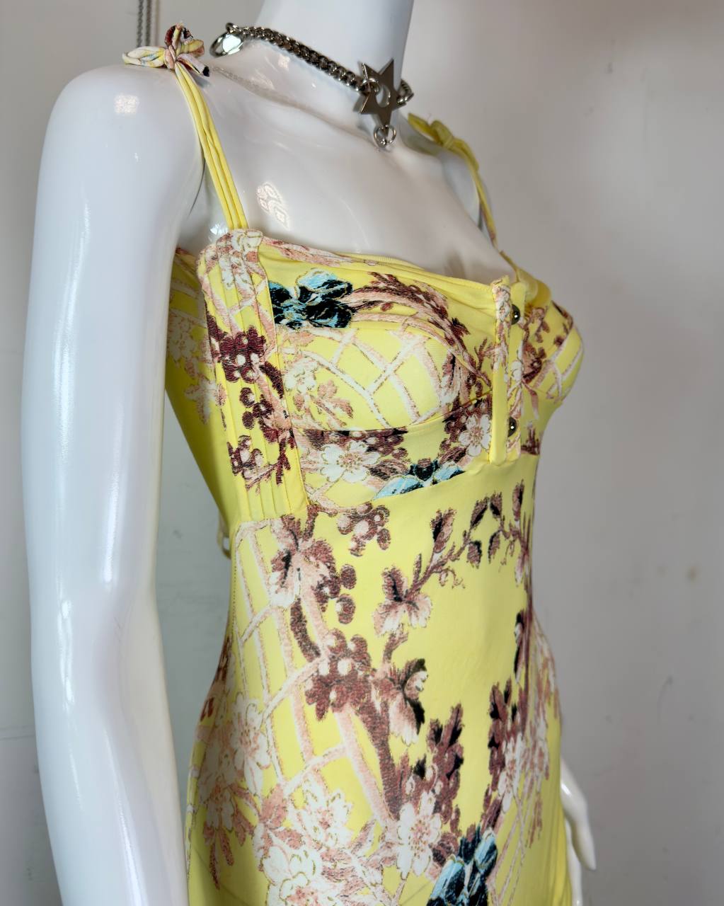 Roberto Cavalli S/S 2003 Chinoiserie Long Corset Dress