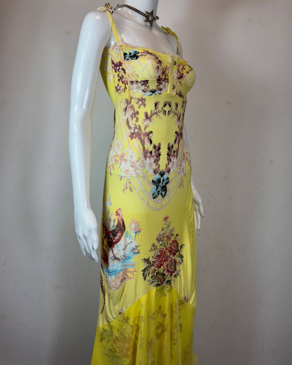 Roberto Cavalli S/S 2003 Chinoiserie Long Corset Dress