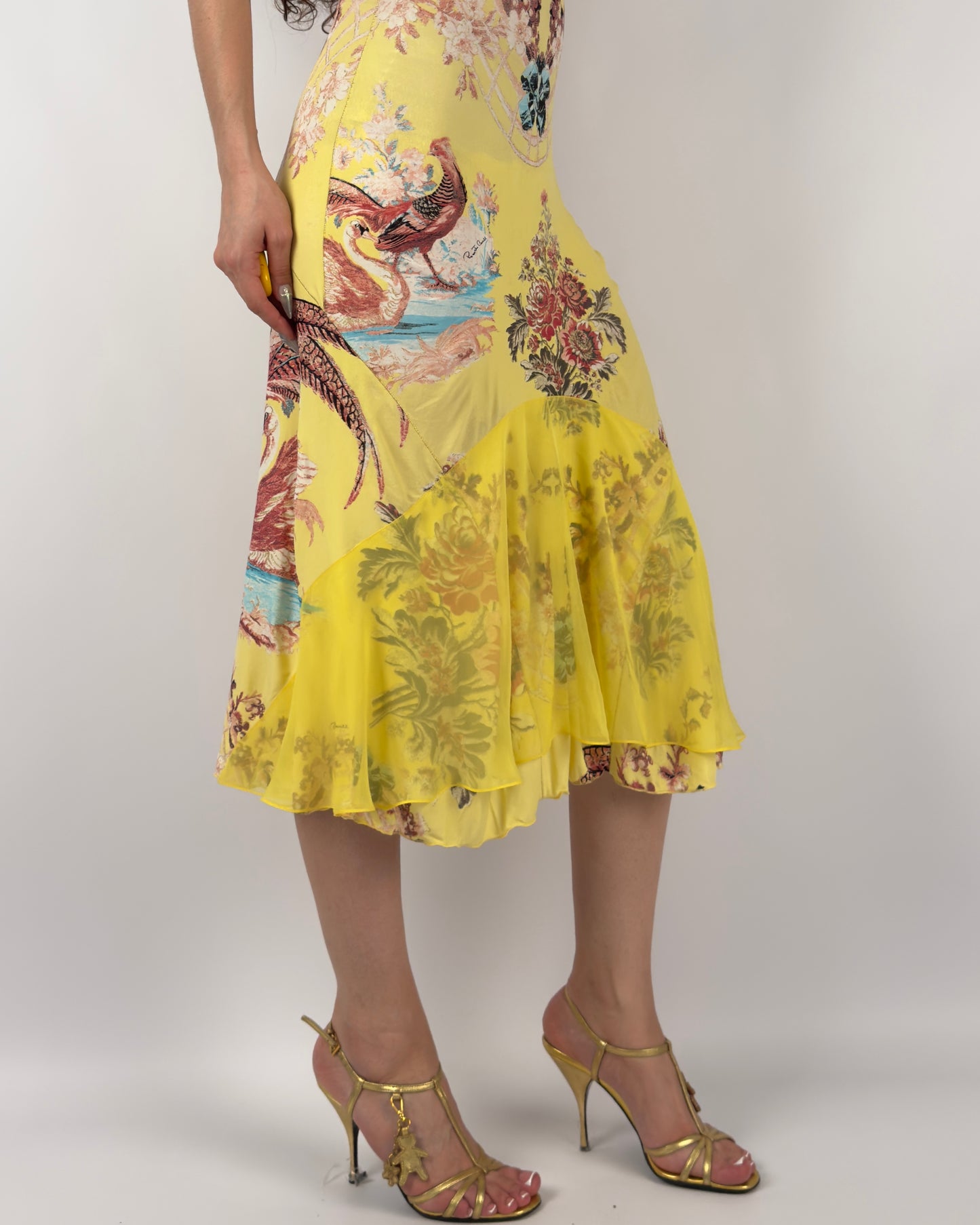 Roberto Cavalli S/S 2003 Chinoiserie Long Corset Dress