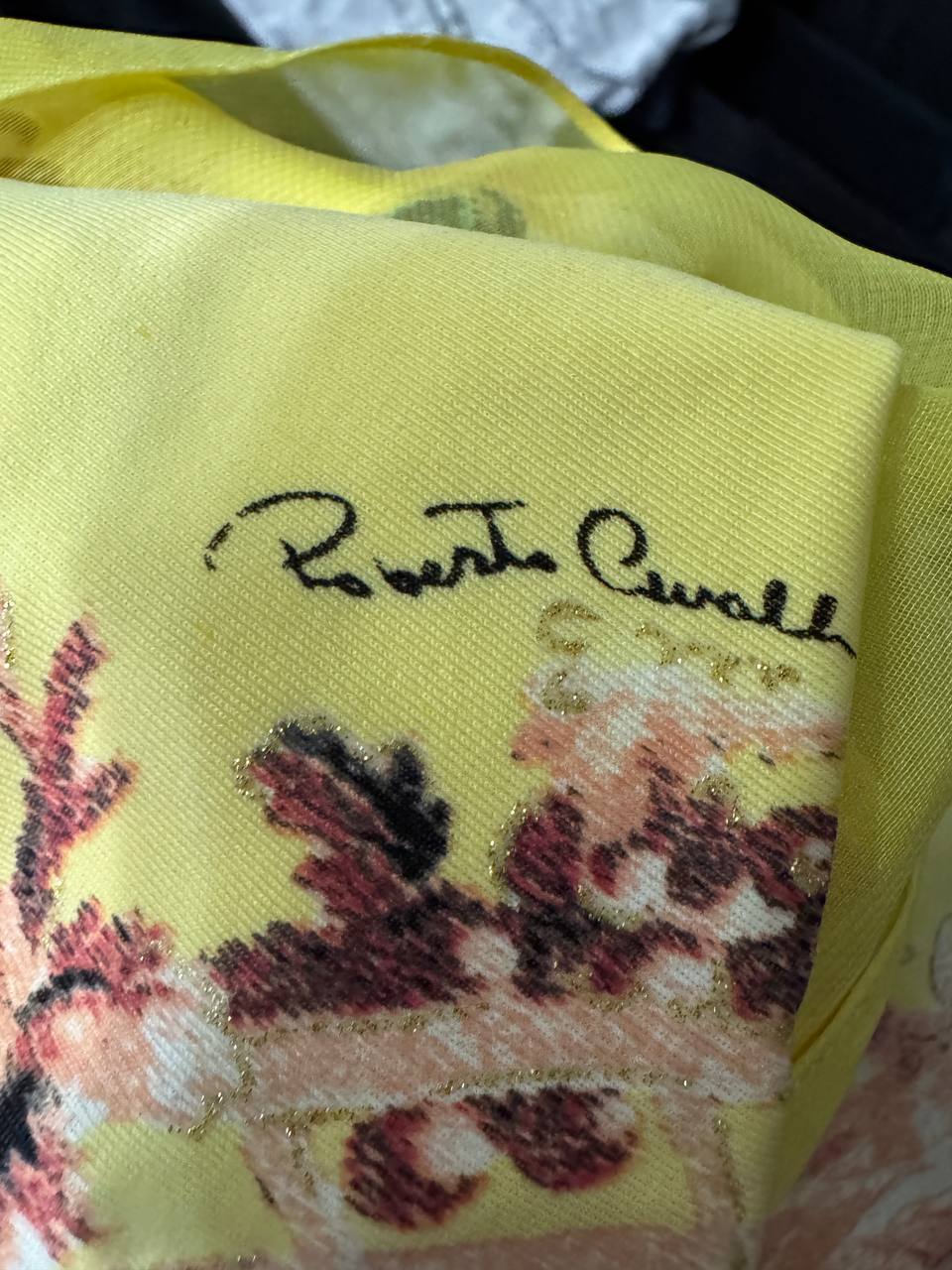 Roberto Cavalli S/S 2003 Chinoiserie Long Corset Dress