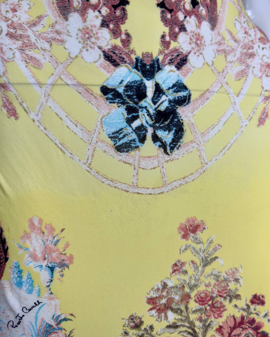 Roberto Cavalli S/S 2003 Chinoiserie Long Corset Dress