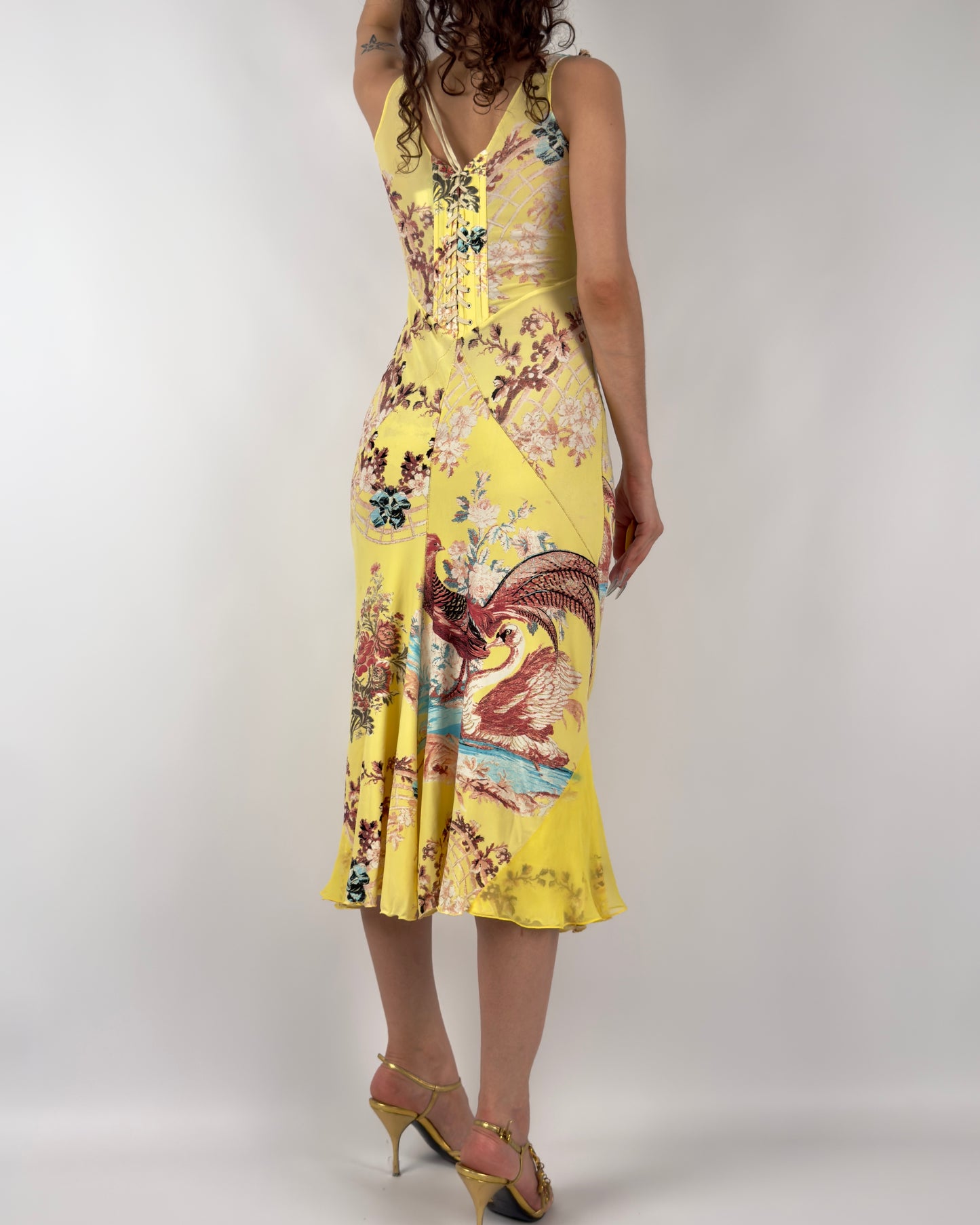 Roberto Cavalli S/S 2003 Chinoiserie Long Corset Dress