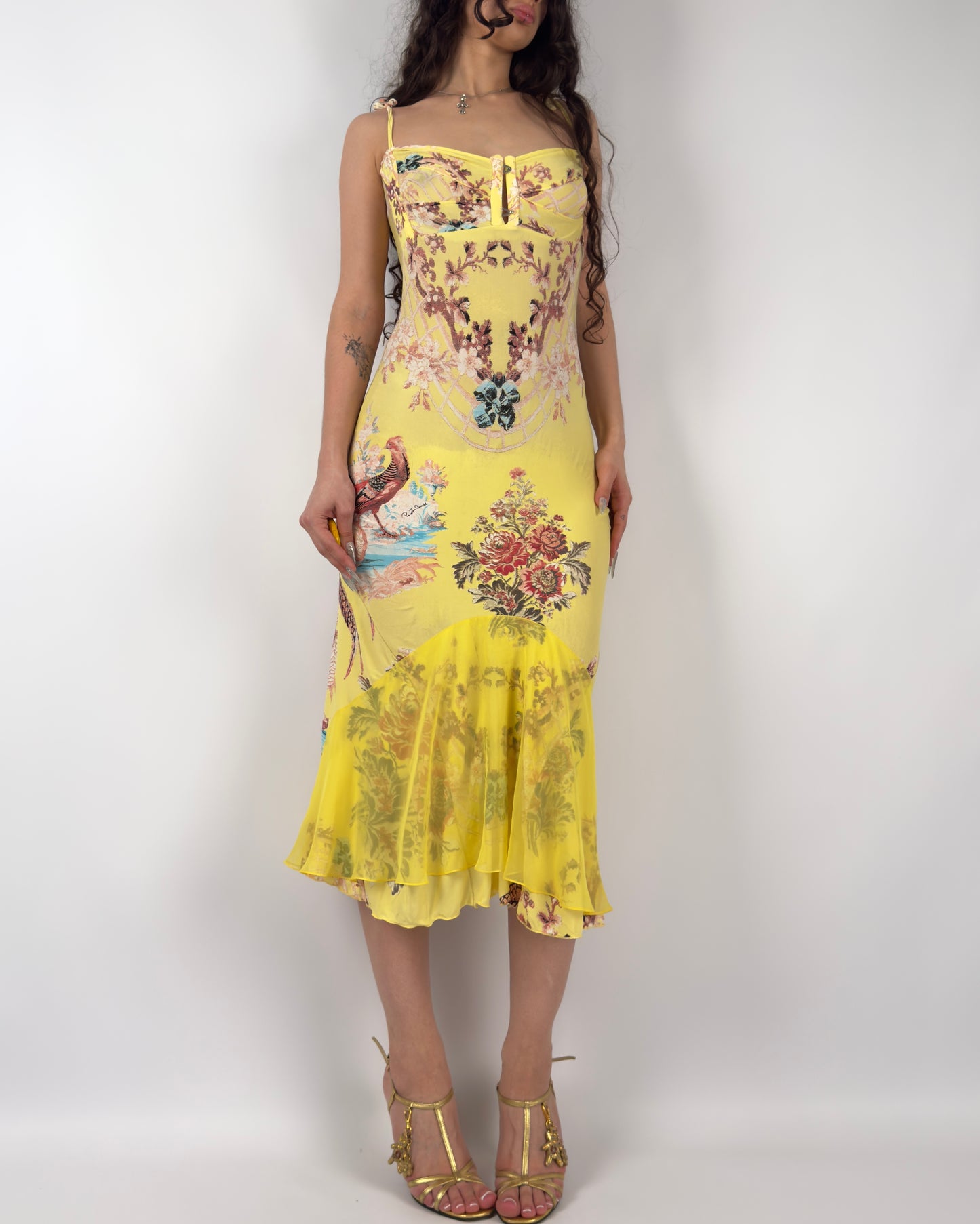 Roberto Cavalli S/S 2003 Chinoiserie Long Corset Dress