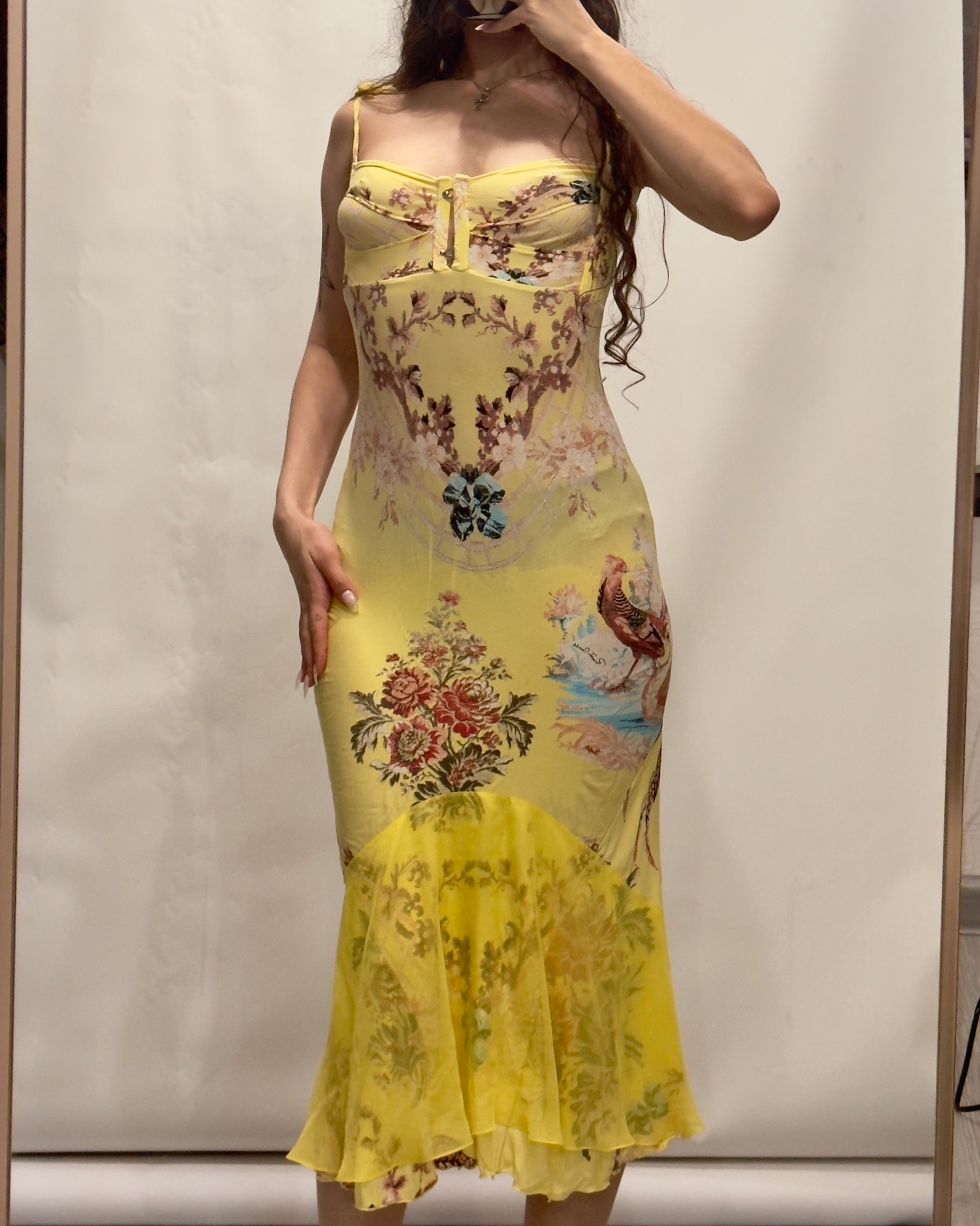 CLASS Roberto Cavalli グラデーションドレス　サイズS Roberto Cavalli S/S 2004 Asymmetric High-Low Feather Print