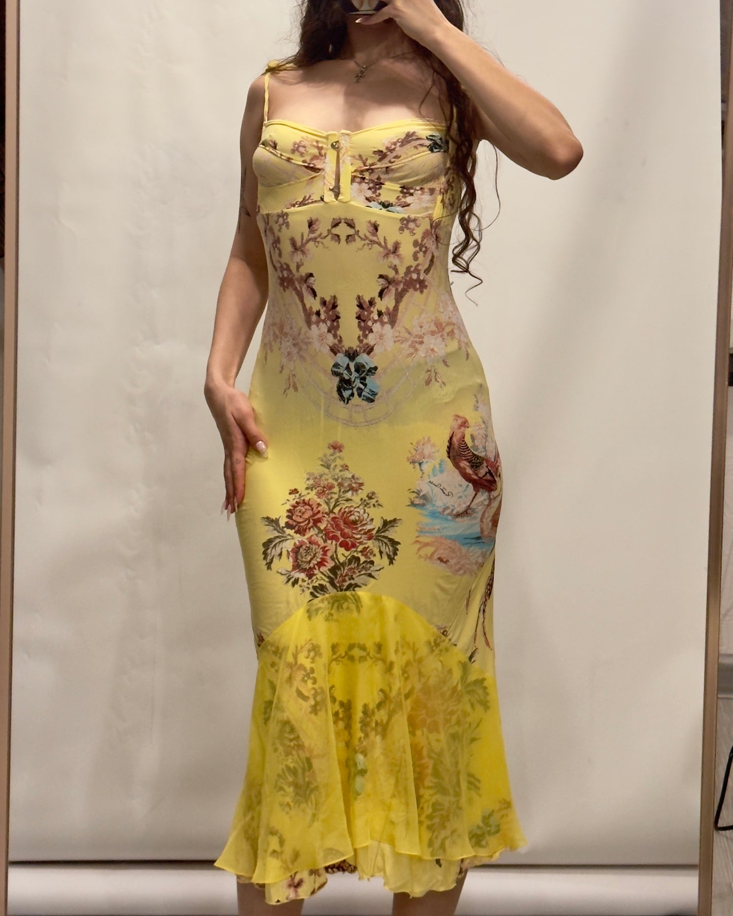 Roberto Cavalli S/S 2003 Chinoiserie Long Corset Dress
