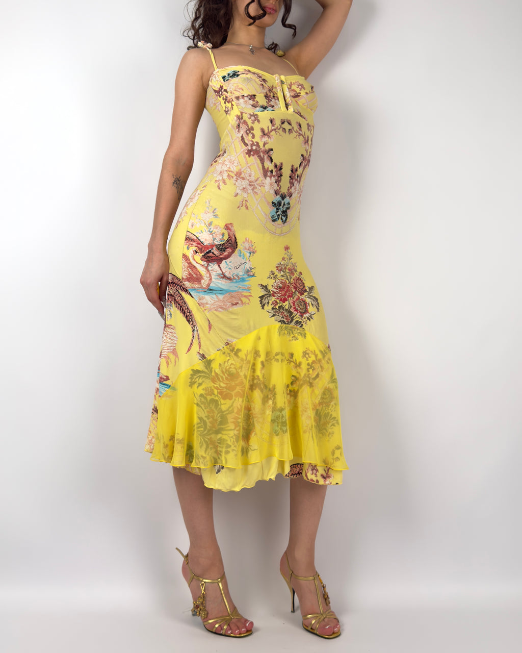Roberto Cavalli S/S 2003 Chinoiserie Long Corset Dress