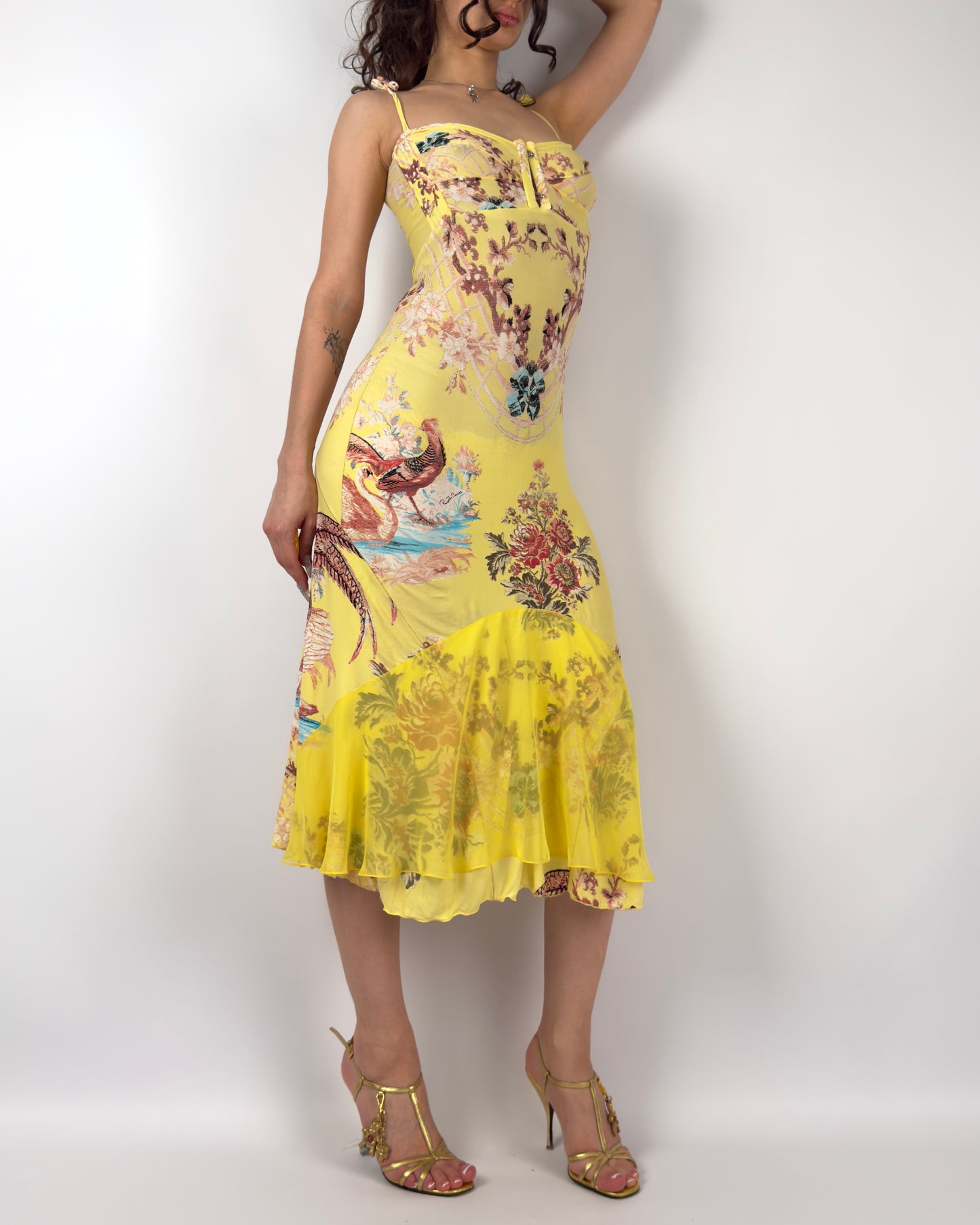 Roberto Cavalli S/S 2003 Chinoiserie Long Corset Dress