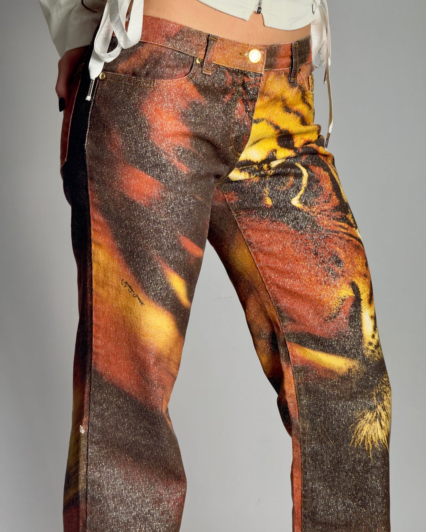 Robero Cavalli AW2000 Tiger Jeans — size M