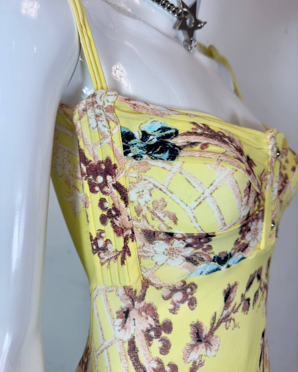 Roberto Cavalli S/S 2003 Chinoiserie Long Corset Dress