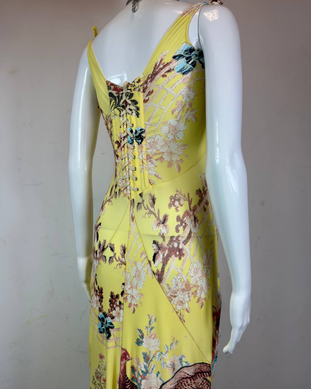 Roberto Cavalli S/S 2003 Chinoiserie Long Corset Dress