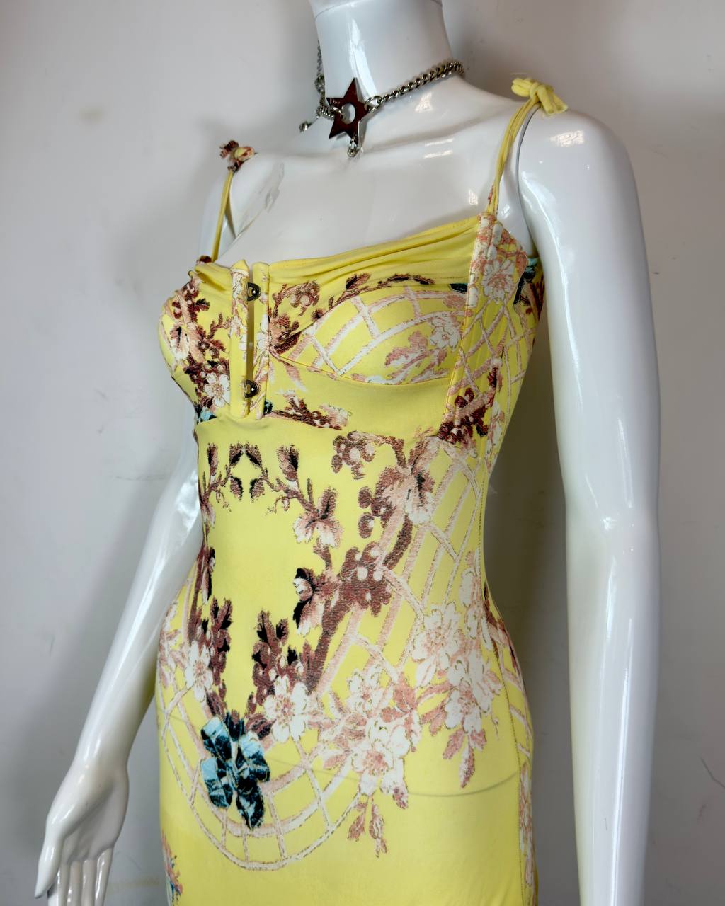 Roberto Cavalli S/S 2003 Chinoiserie Long Corset Dress