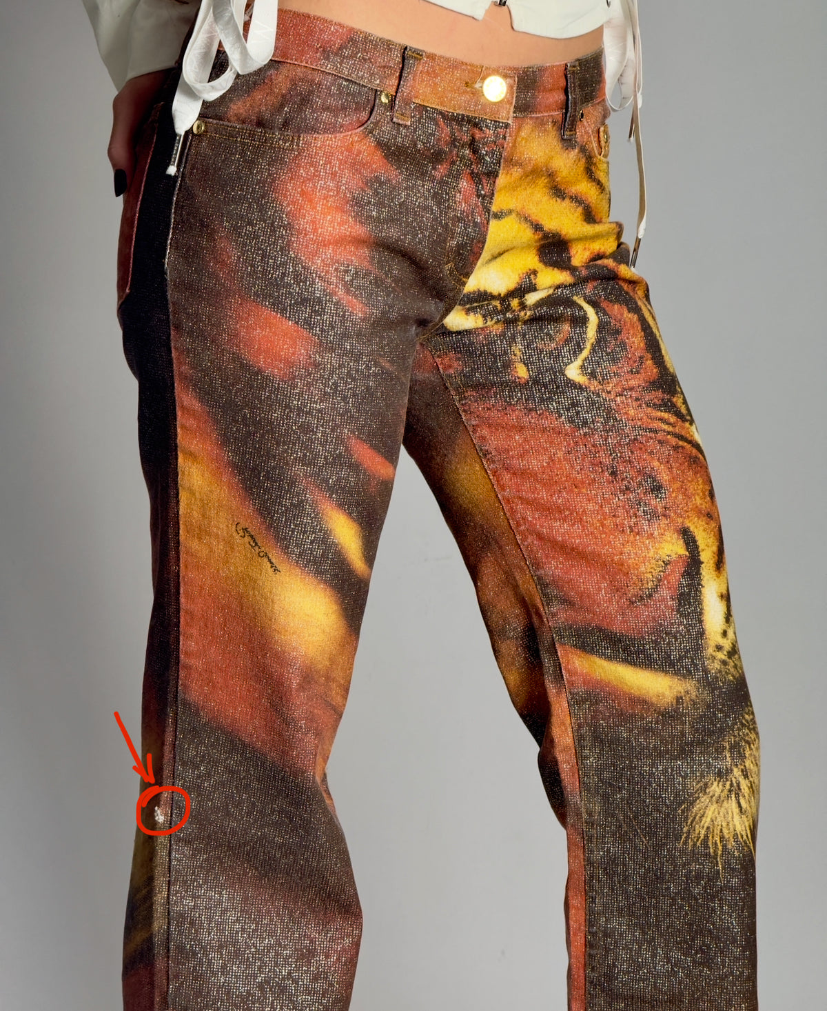 Robero Cavalli AW2000 Tiger Jeans — size M