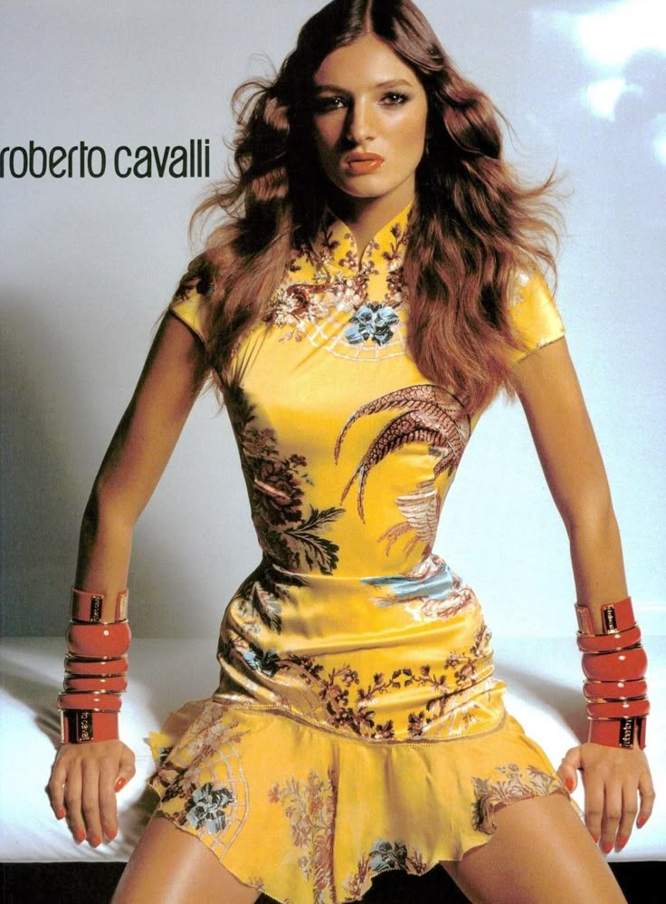 Roberto Cavalli S/S2003 Iconic Chinoiserie Silk Dress