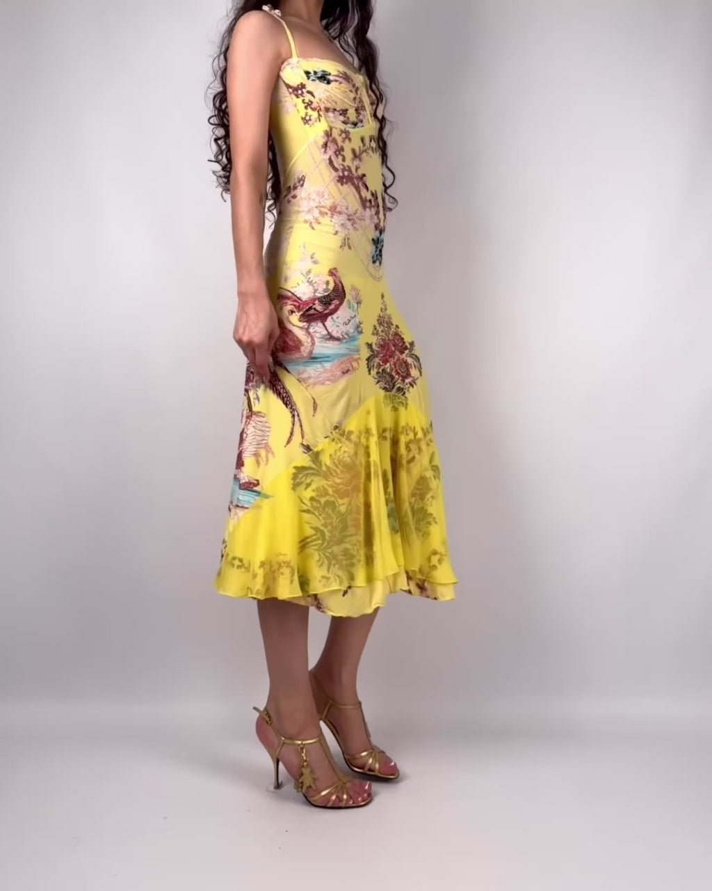 Roberto Cavalli S/S 2003 Chinoiserie Long Corset Dress