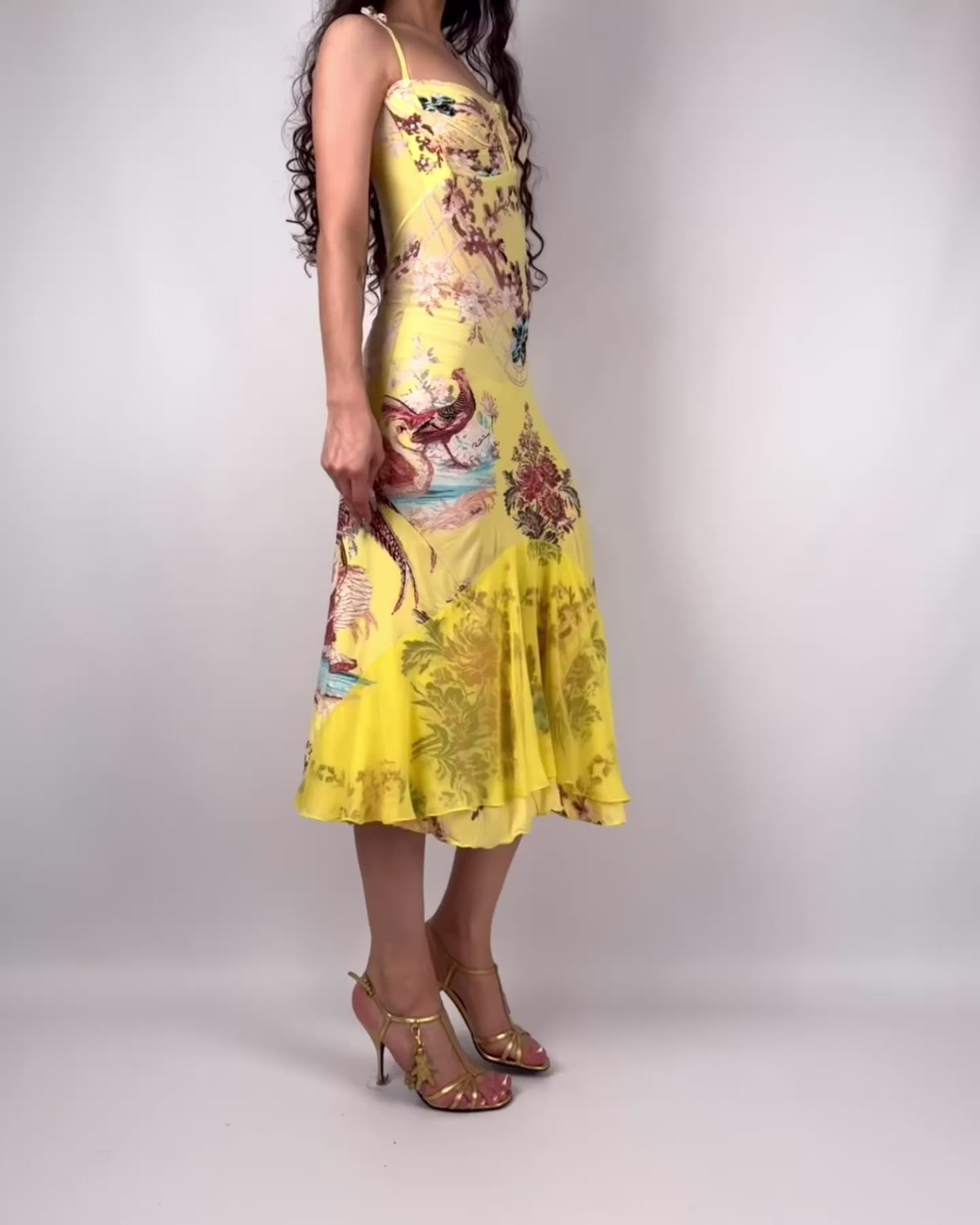 Roberto Cavalli S/S 2003 Chinoiserie Long Corset Dress